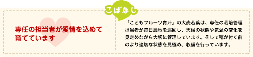 専任の担当者が愛情を込めて育てています