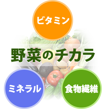 野菜のチカラ