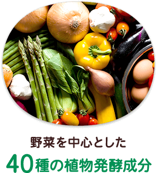 野菜を中心とした40種の植物発酵成分
