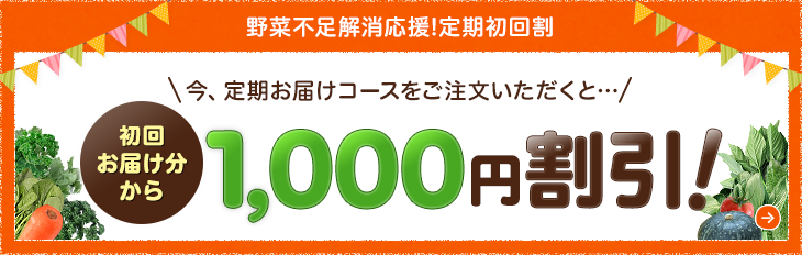 定期お届けコース 1,000円OFF!