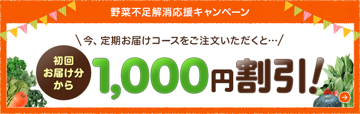定期お届けコース 1,000円OFF!
